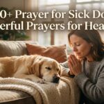 prayer for sick dog